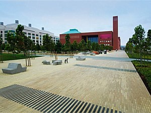Narrow Modular Pavers 98